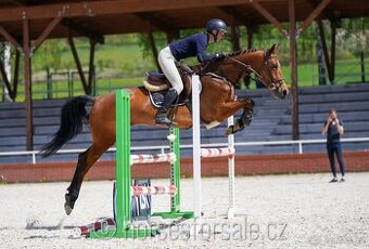 Conquistador x Cassini' s Son, TOP-charakter