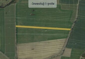 Prodej pole v k.ú. Olešná nad Vltavou