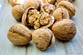 Vlašské ořechy 2024