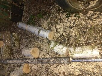 Prodám palivové dřevo bříza - 1