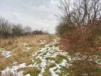 Prodej zahrady, Cholina. - 1