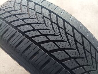 195/65 R15 TRACMAX (0221)