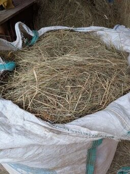 Prodám seno-balik,žok