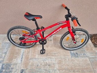 Dětské kolo Rock Machine Thunder 20"