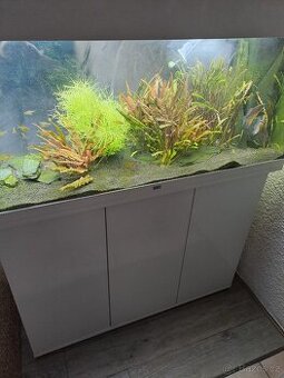 Akvarijní set Juwel RIO 180