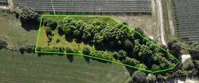 Prodej zahrady 8 563 m², Česká Skalice - 1