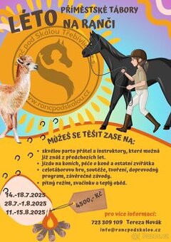Příměstský tábor s koňmi