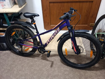 Specialized Rip Rock 24"