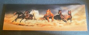 Prodám obraz s motivem koní