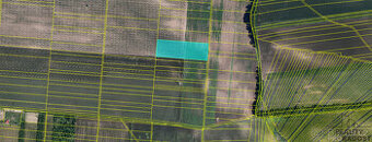 Prodej pole - Moravský Žižkov