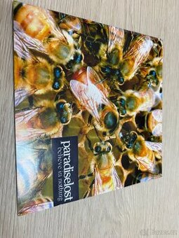 PARADISE LOST: BELIEVE IN NOTHING, 2001, 1.PRESS