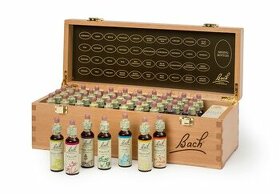 Bachovy květové esence originální set 20 ml - dřevěný box