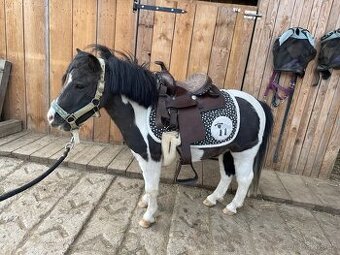 Westernové pony sedlo - 1