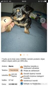Podvodníci jsou hlseni na policiji a Kvsu