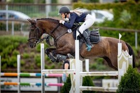 Prodej super klisny do sportu