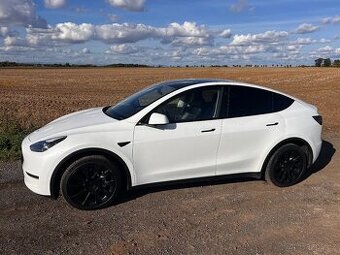 Tesla Model Y Long Range 2021