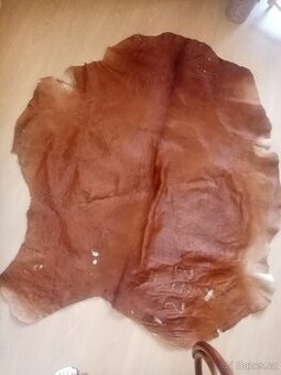 Hovězí kůže vyčiněná