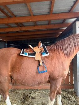 Westernové detské sedielko, pony, shetty