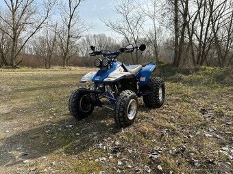 Yamaha Warrior 350