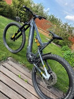Intense Tazer MX