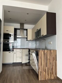 Pronájem byty 2+kk, 53 m2 - Plzeň - Černice, ev.č. N08122
