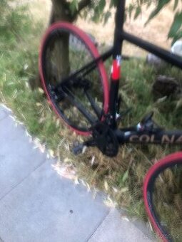 Colnago