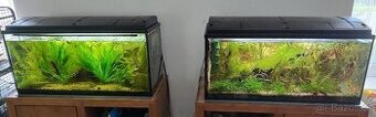 2x Akvárium 180l s rybkami a rostlinami