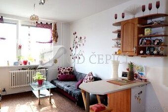 Pronájem bytu 1+kk se sklepem, 26m2, Horácké náměstí, Brno