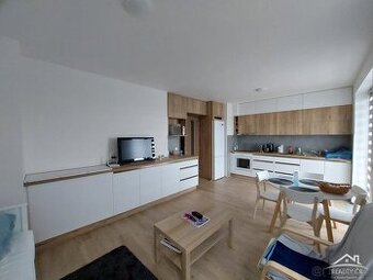 Pronájem 1+kk novostavba Vrchlického