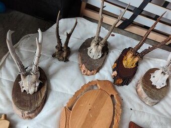 Různé trofeje paroží + podstavce