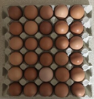 Prodám domácí vejce