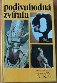 Igor Akimuškin – Podivuhodná zvířata