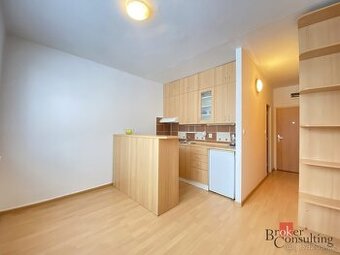 Pronájem, byty/1+1, 37 m2, U Zámeckého parku 2010, Horní Lit