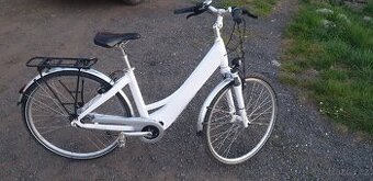 Elektrokolo Winora Manto M7