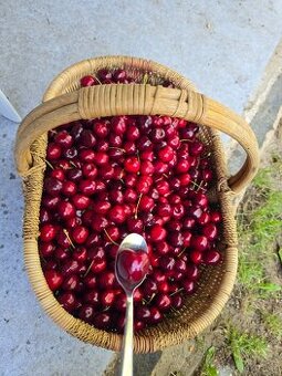 Třešně SLADKÉ, ŠŤAVNATÉ A PŘÍMO ZE STROMU, 20kg hned