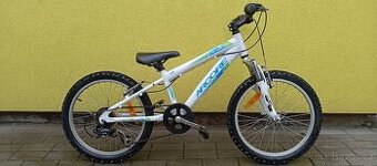 Dětské kolo Arcore 20" - 1