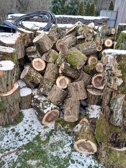 Palivové dřevo vrba