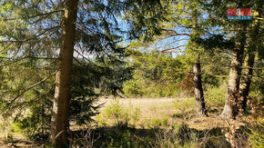 Prodej lesa, 4650 m², Chotěmice - 1