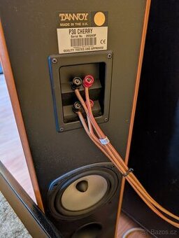 Tannoy P30