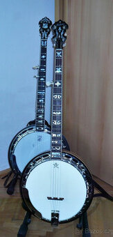 Pětistrunné banjo