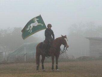 APH Playboy Bugs Bunny - připouštění