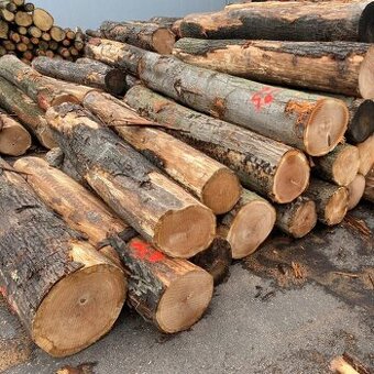 Kvalitní palivové dřevo – od 700 Kč, rychlé dodání