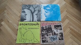 LP Honza Nedvěd ,Brontosauři