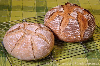 Poukaz - Kurz pečení chleba z kvásku v Hradci Králové 27.1.2
