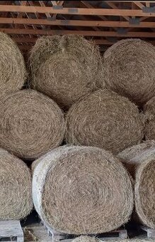 Prodám kulaté balíky sena - Netolice,okr.Prachatice
