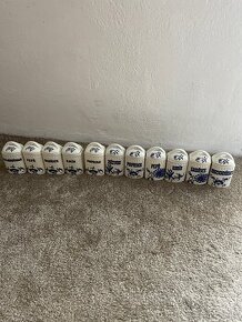 Cibulákové kořenky