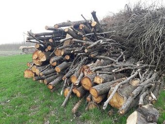 palivové dřevo