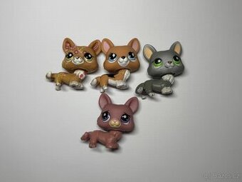 LPS pes corgi littlest pet shop