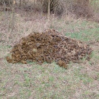 Koňský a králičí hnůj - ZDARMA