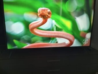 LG 4K Smart 139 cm